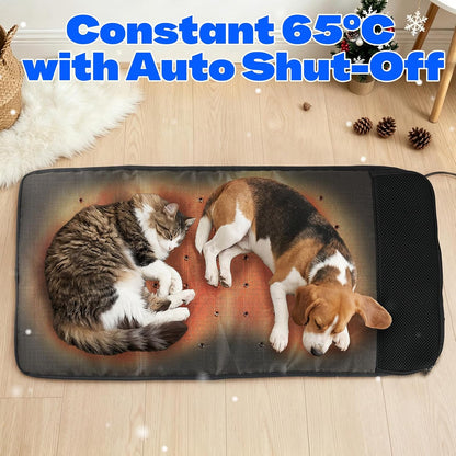Pet Cooling & Heating Pad
